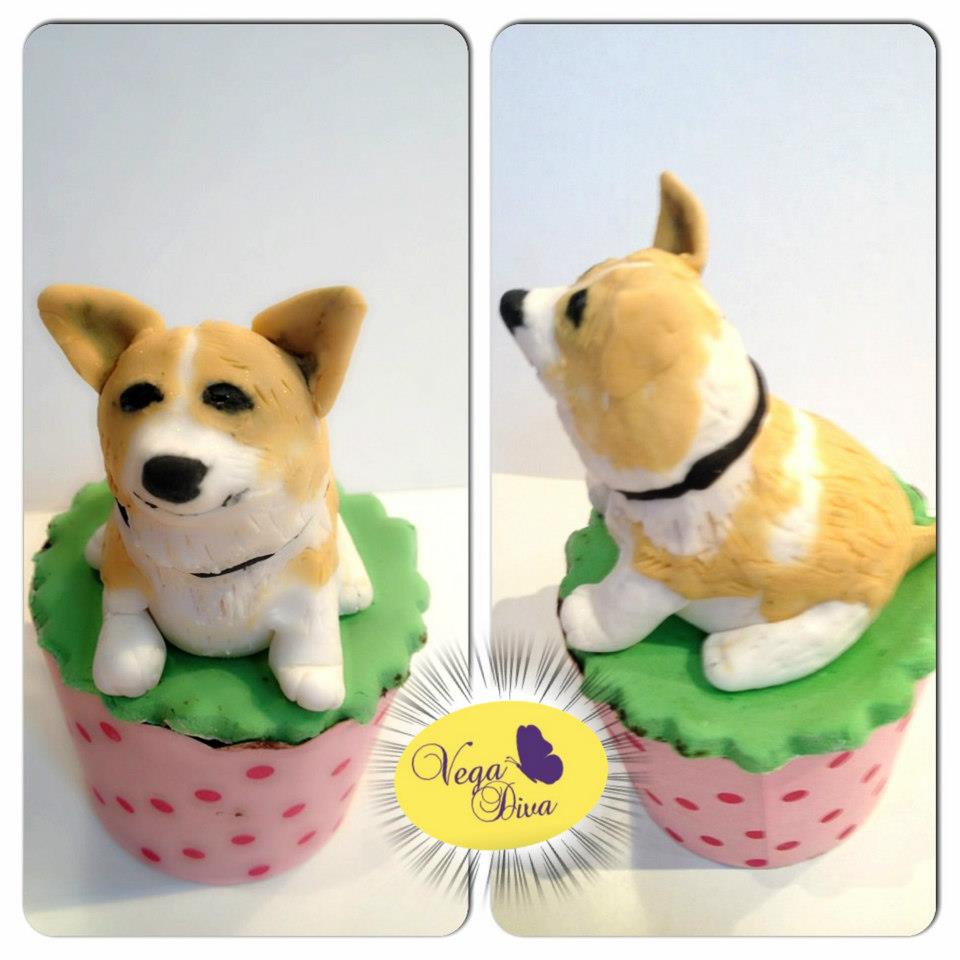 เค้กวันเกิดสัตว์เลี้ยง แสนรัก น้องหมา “ชิบะอินุ”