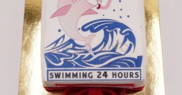 เค้กรูปภาพการ์ตูนปลาฉลาม Shark เค้กเซอร์ไพรส์สุดเก๋สำหรับทุกโอกาสพิเศษ